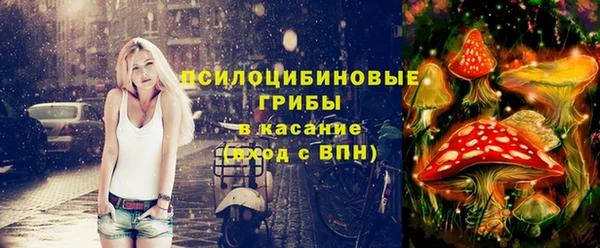 СК Алзамай
