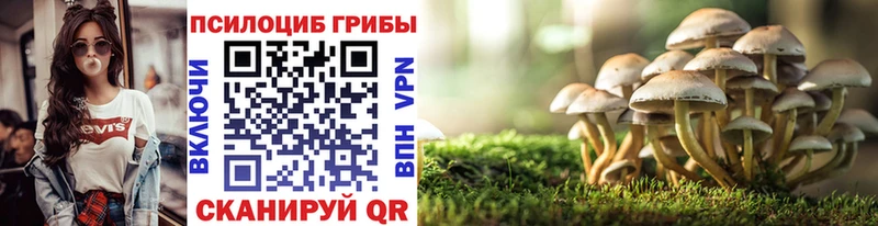 Галлюциногенные грибы мицелий Миньяр